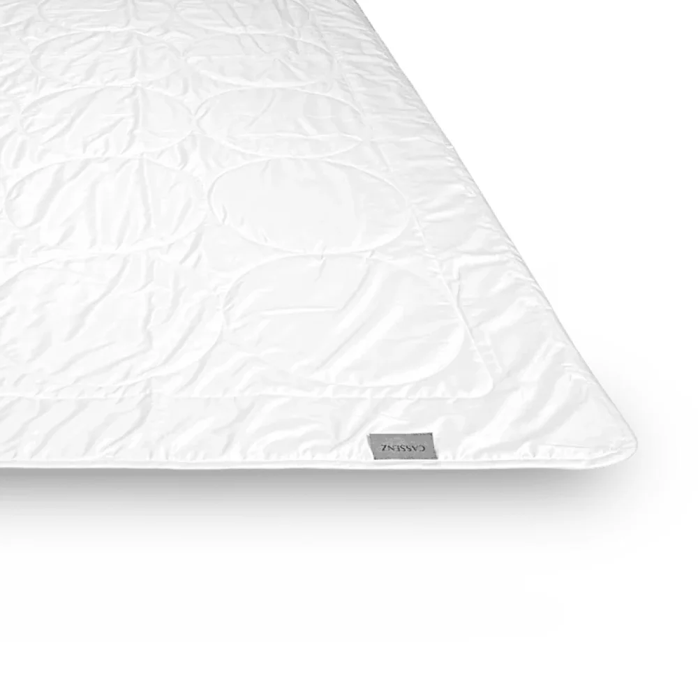Cassenz tencel dekbed 2