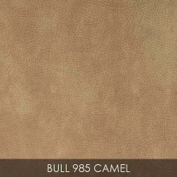 BULL_985_CAMEL
