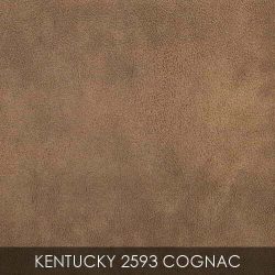 KENTUCKY_2593_COGNAC
